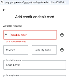 entering my google pay details