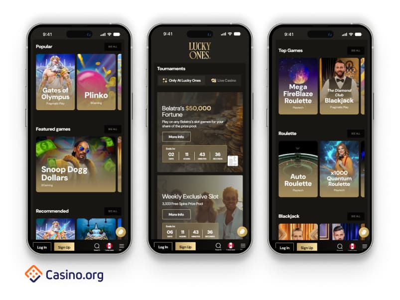 Lucky Ones - Parner blurbs.jpg