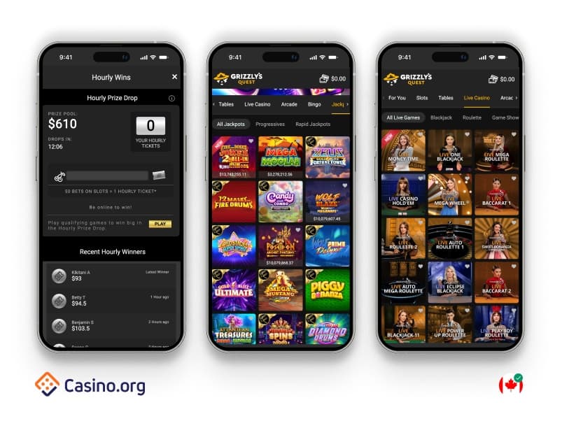 Grizzly's Quest CA screenshots