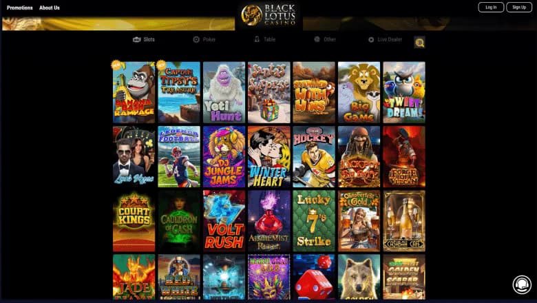 black-lotus-casino-gallery-1