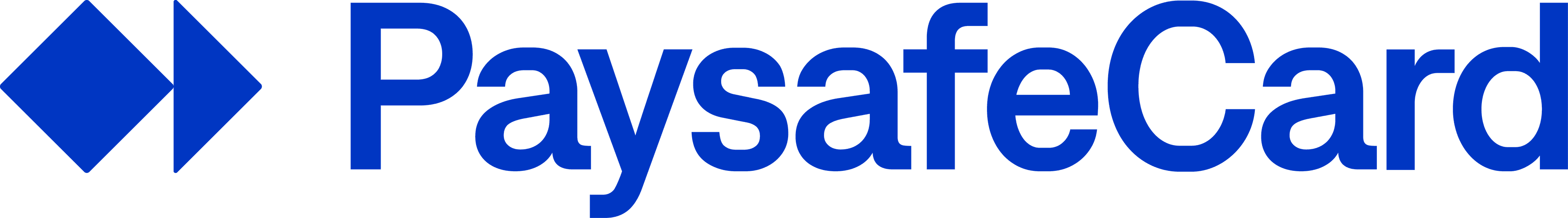 PaysafeCard logo 2024