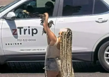 Woman Accused of Injuring Baby Duck at Vegas Strip Casino