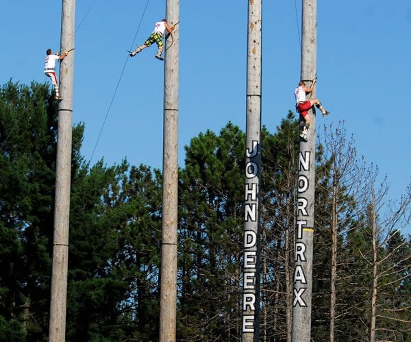 people climbing giant trees in lumberjack championship 