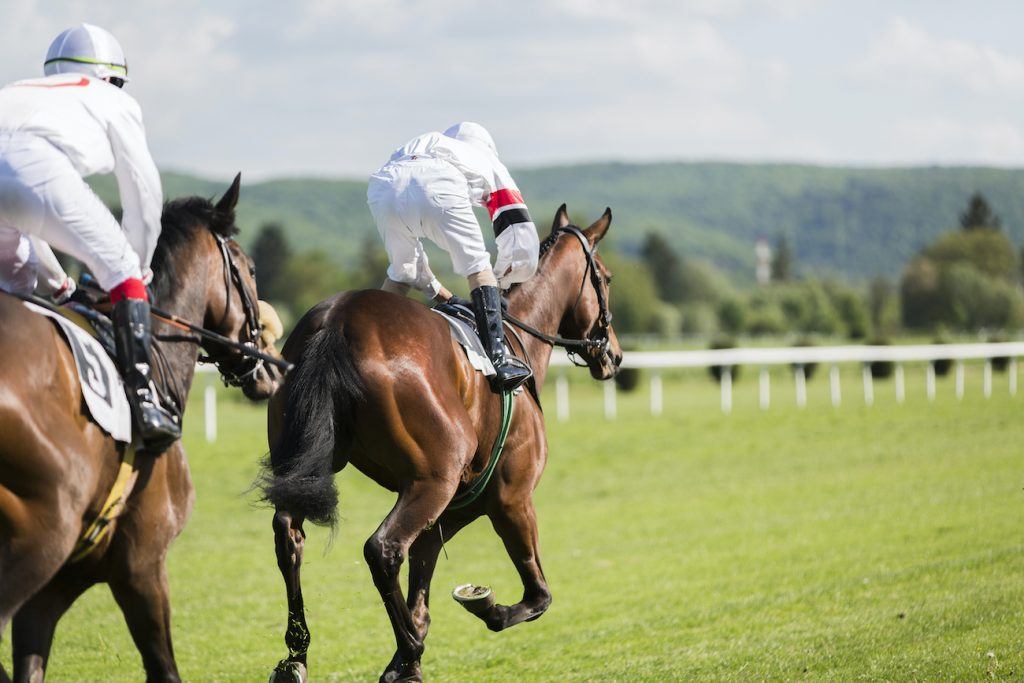 Top 10 Female Horse Jockeys Of All Time Best Female Jockeys