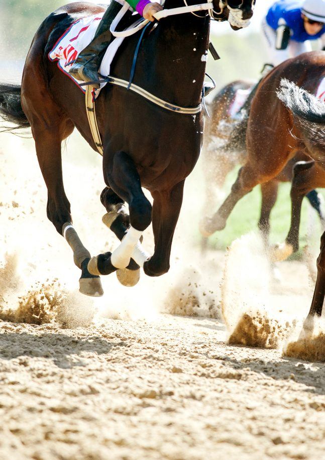 Horses running on a sand track