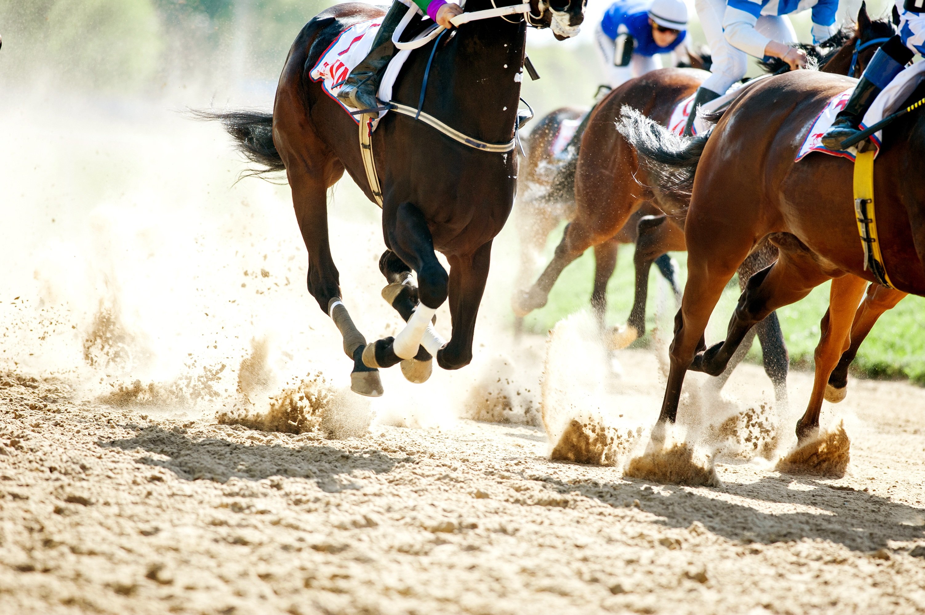 Top 10 Horse Racing Tracks In The World Famous Horse Race Courses