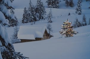 Hütte im Schnee, Weihnachtsbaum