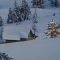 Hütte im Schnee, Weihnachtsbaum