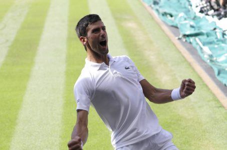 Novak Djokovic Wimbledon tennis odds