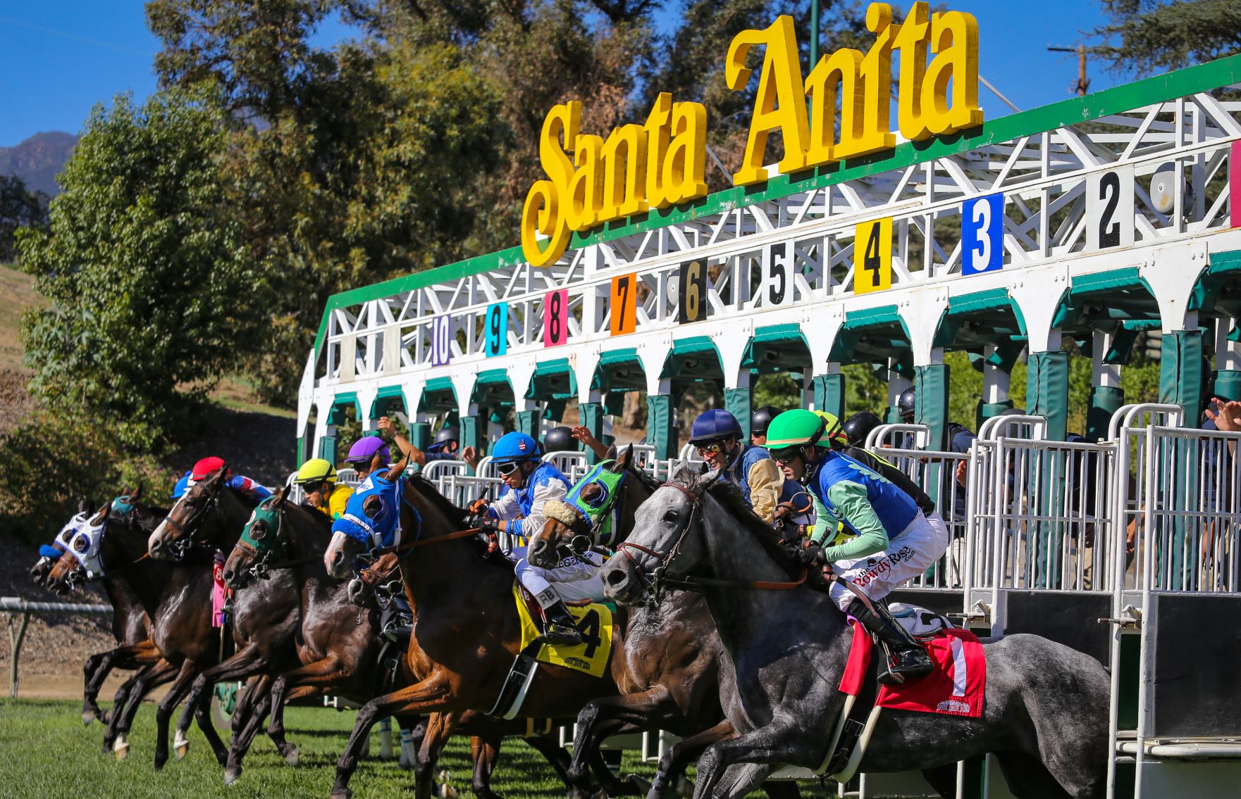 California Horse Racing Board to Mull 'Options' to Move Santa Anita Dates