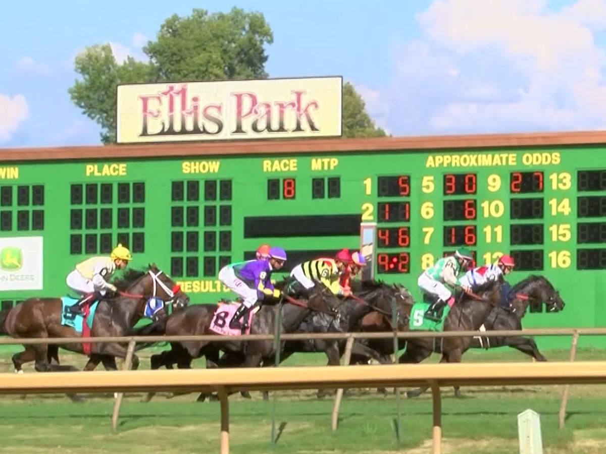 Ellis Park's New Owner Plans $100M Investment to Renovate Track, Expand Instant Racing