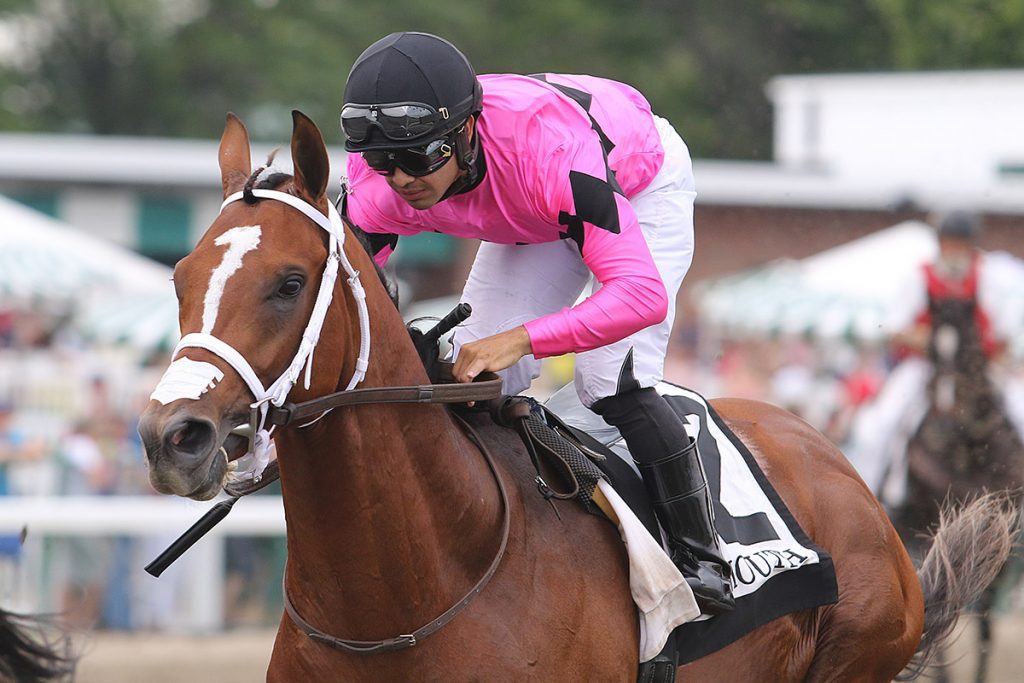 maximum-security-looks-to-regain-winning-stride-in-saturday-s-haskell