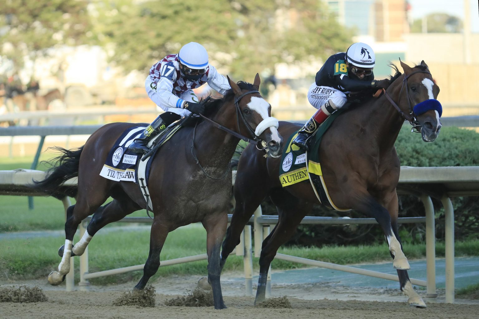 Breeders Cup Classic Features AllStar Field of Horse Racing Contenders