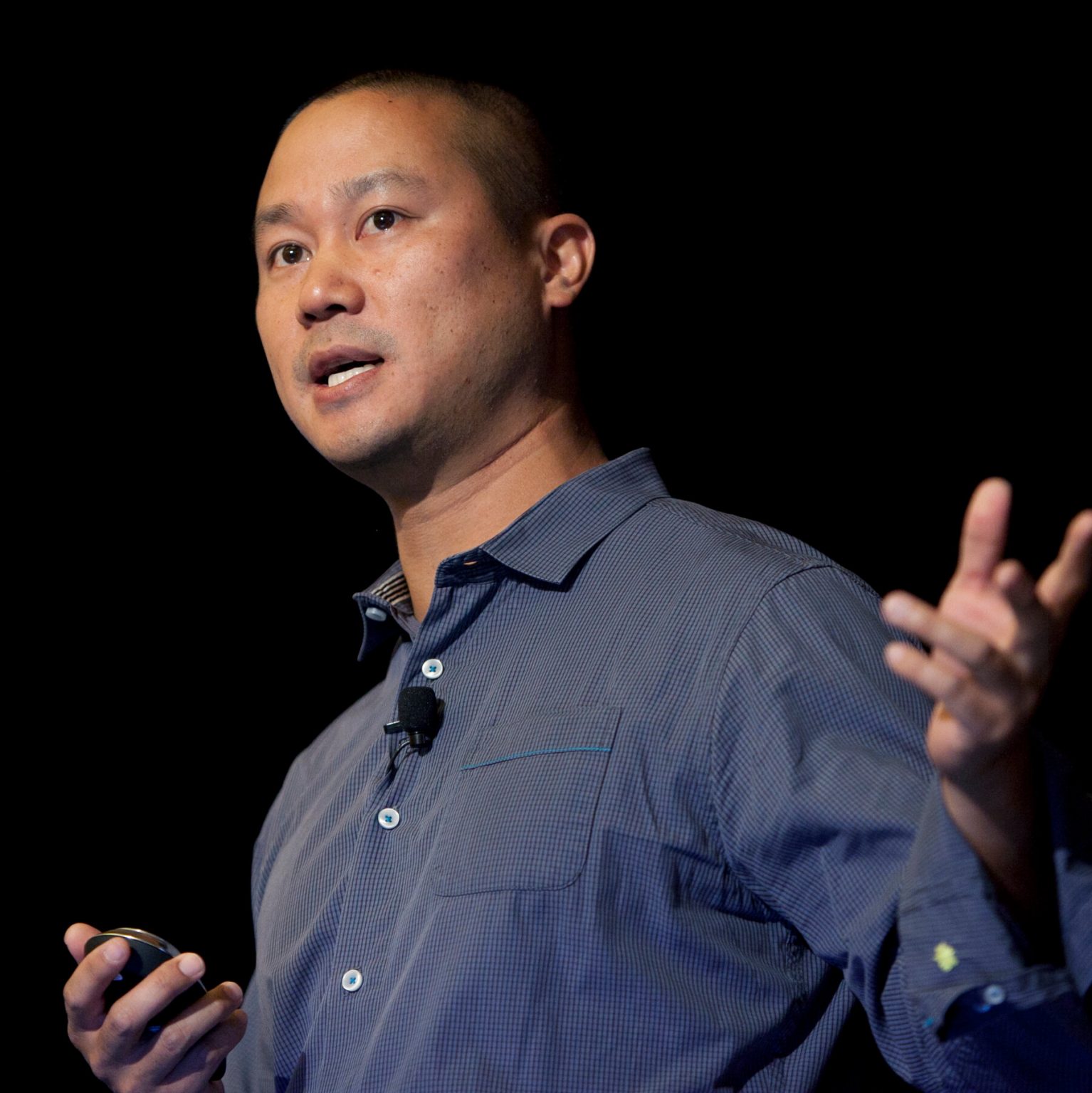 Tony hsieh кто это