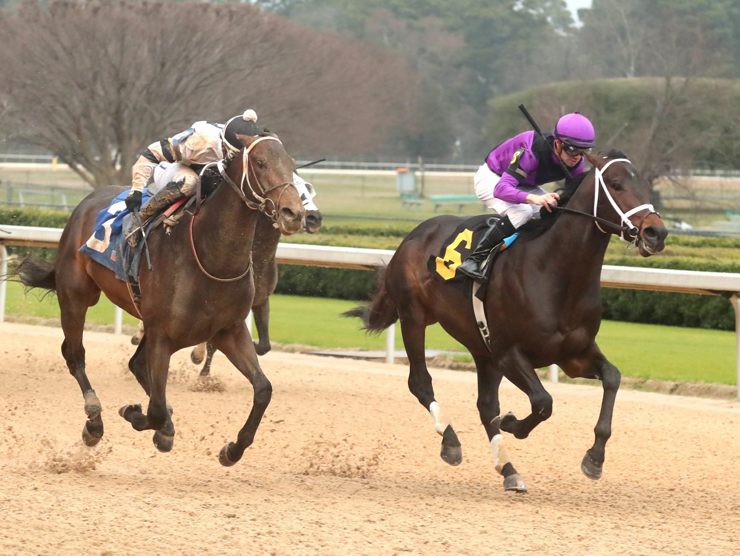 Oaklawn Opens Infield at Horse Track on Sundays, As Southland Casino