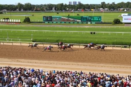 New York horse racing fans