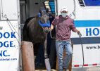 Medina Spirit Preakness