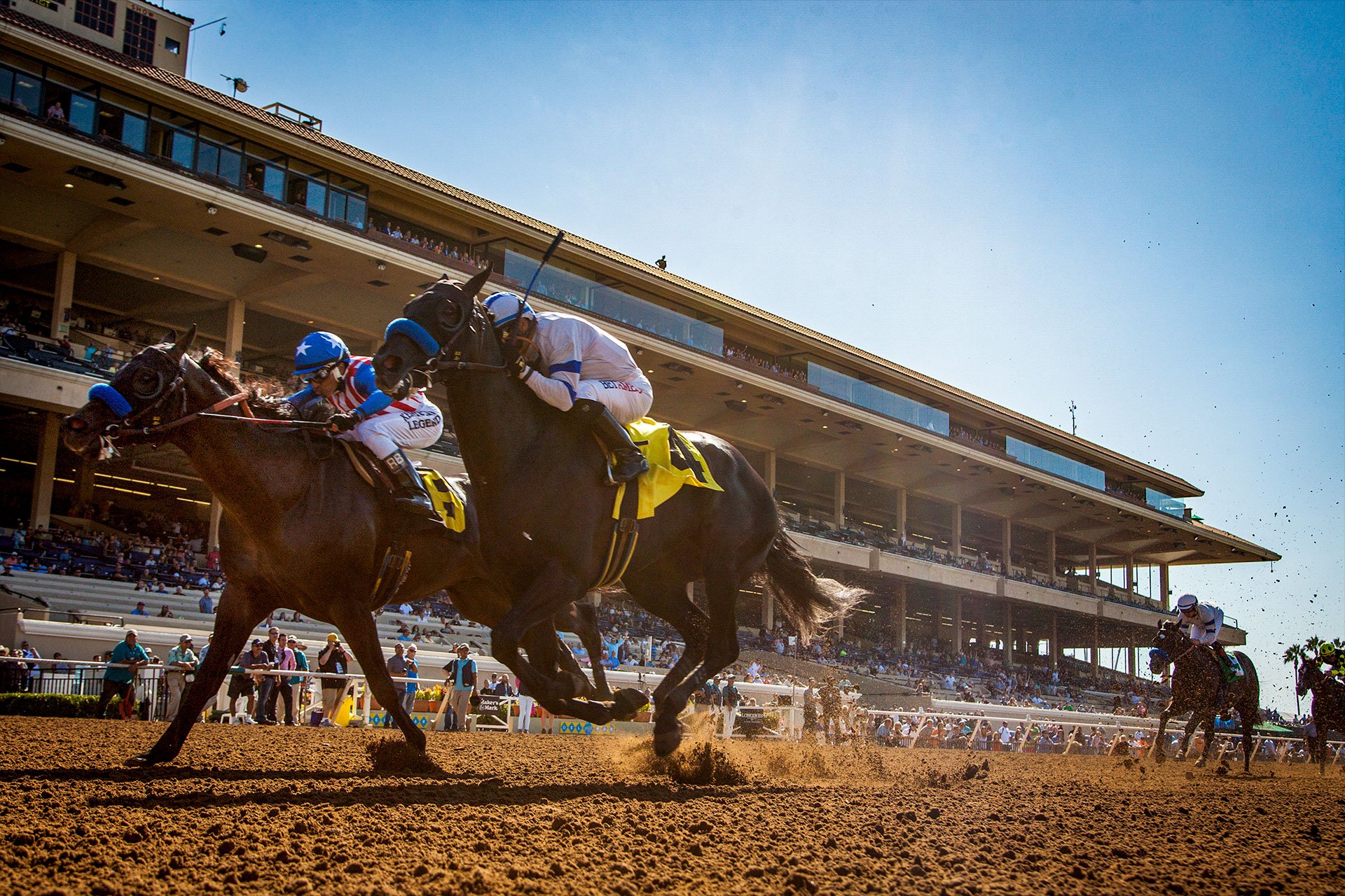 San Diego Dems Want Ban On State Sponsored Horse Race Gambling