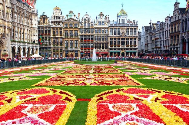 Belgium Flower Carpet