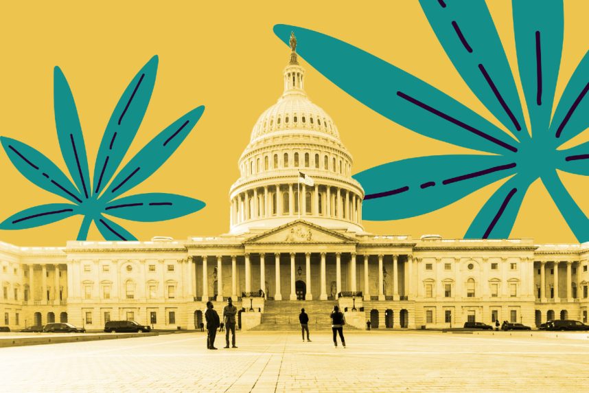 Marijuana Reclassification Odds Remain Long Due To Senate Opposition