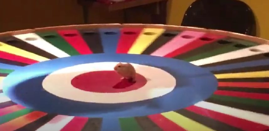 ‘Rat Roulette’ Game at Alaska State Fair Sparks Social Media Horror