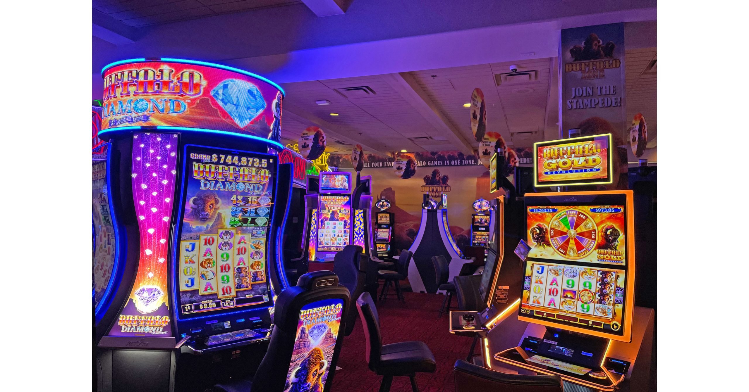 Answered: Your Most Burning Questions About casino