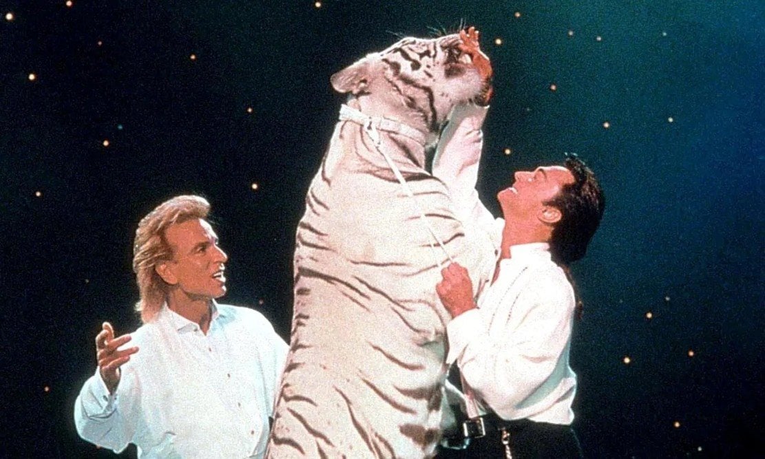 Last of Siegfried & Roy's Tigers and Lions Leaves Las Vegas for ...