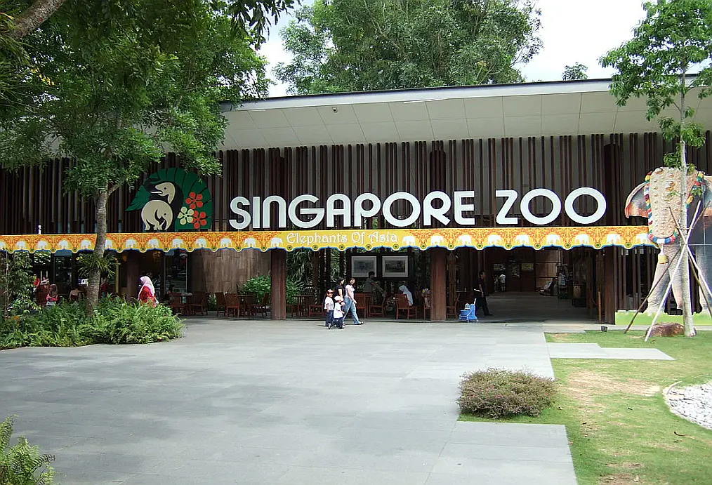 Singapore Zoo Bribery Scheme Gave Man Free Gambling Trips for Years ...