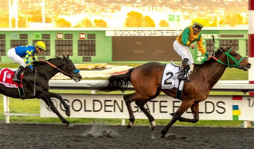 Golden Gate Fields, Stronach Group, Chase the Chaos 