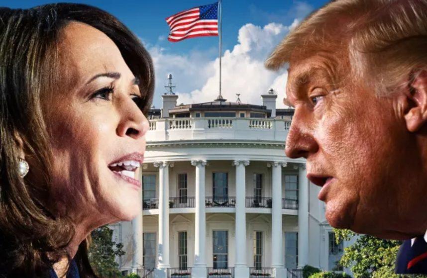 political bettors debate Trump Harris odds