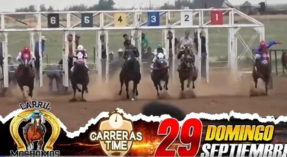 Illegal Texas Horse Racetrack Raided, Drugs, Gambling Devices Seized