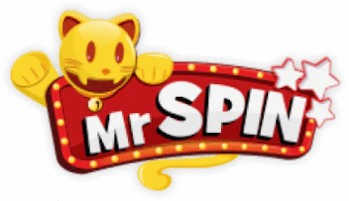 Mr Spin