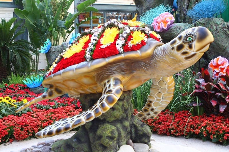 PHOTOS: Bellagio unveils summer 'Jungle of Dreams' display at Conservatory  on Las Vegas Strip