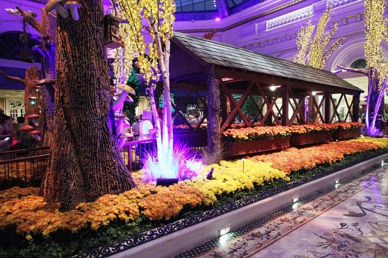 Bellagio Conservatory Whips Out Its Autumnal Regalia