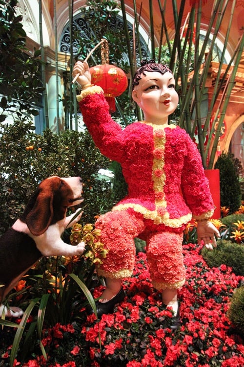 Bellagio Conservatory Chinese New Year of the Dog Moon Gate by Aloha Art