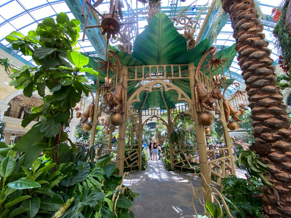 Bellagio Las Vegas - Get lost in a Jungle of Dreams with our  Conservatory's wildest display yet. With over 10,000 hours spent on  creation, this captivating scene pays homage to the majestic
