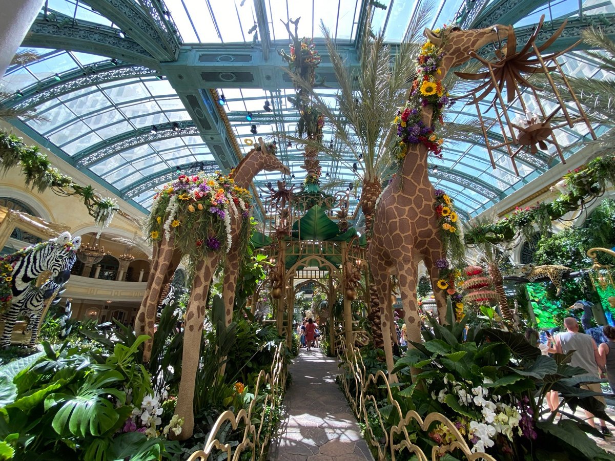 Bellagio Conservatory & Botanical Gardens is one of the very best things to  do in Las Vegas