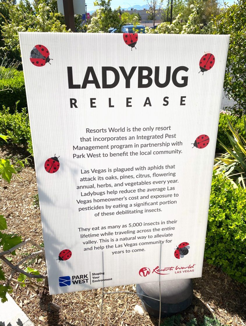 Resorts World Releases 112,000 Ladybugs To Help Fight Pests 